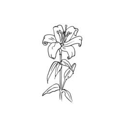 Malvorlage: Blumen (Natur) #155259 - Kostenlose Malvorlagen zum Ausdrucken