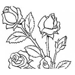 Malvorlage: Blumenstrauß (Natur) #160747 - Kostenlose Malvorlagen zum Ausdrucken
