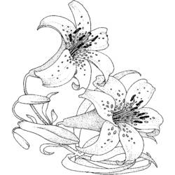 Malvorlage: Blumenstrauß (Natur) #160834 - Kostenlose Malvorlagen zum Ausdrucken