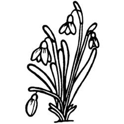 Malvorlage: Blumenstrauß (Natur) #160845 - Kostenlose Malvorlagen zum Ausdrucken