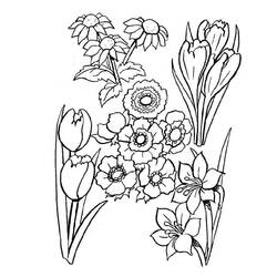 Malvorlage: Blumenstrauß (Natur) #160855 - Kostenlose Malvorlagen zum Ausdrucken