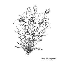 Malvorlage: Blumenstrauß (Natur) #160865 - Kostenlose Malvorlagen zum Ausdrucken