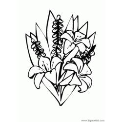 Malvorlage: Blumenstrauß (Natur) #160891 - Kostenlose Malvorlagen zum Ausdrucken