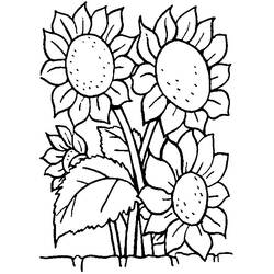 Malvorlage: Blumenstrauß (Natur) #160964 - Kostenlose Malvorlagen zum Ausdrucken