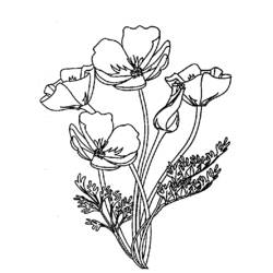 Malvorlage: Blumenstrauß (Natur) #161045 - Kostenlose Malvorlagen zum Ausdrucken