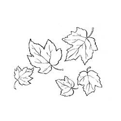Malvorlage: Herbstsaison (Natur) #164081 - Kostenlose Malvorlagen zum Ausdrucken