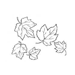 Malvorlage: Herbstsaison (Natur) #164376 - Kostenlose Malvorlagen zum Ausdrucken