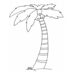 Malvorlage: Kokosnussbaum (Natur) #162115 - Kostenlose Malvorlagen zum Ausdrucken