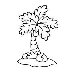 Malvorlage: Kokosnussbaum (Natur) #162125 - Kostenlose Malvorlagen zum Ausdrucken