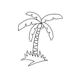 Malvorlage: Kokosnussbaum (Natur) #162137 - Kostenlose Malvorlagen zum Ausdrucken