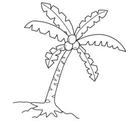 Malvorlage: Kokosnussbaum (Natur) #162366 - Kostenlose Malvorlagen zum Ausdrucken