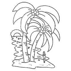 Malvorlage: Kokosnussbaum (Natur) #162367 - Kostenlose Malvorlagen zum Ausdrucken