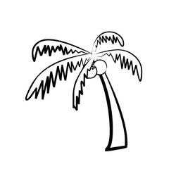 Malvorlage: Kokosnussbaum (Natur) #162369 - Kostenlose Malvorlagen zum Ausdrucken