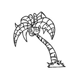Malvorlage: Kokosnussbaum (Natur) #162375 - Kostenlose Malvorlagen zum Ausdrucken
