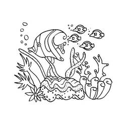 Malvorlage: Koralle (Natur) #162895 - Kostenlose Malvorlagen zum Ausdrucken