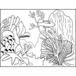 Malvorlage: Koralle (Natur) #162899 - Kostenlose Malvorlagen zum Ausdrucken
