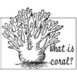 Malvorlage: Koralle (Natur) #162907 - Kostenlose Malvorlagen zum Ausdrucken