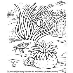 Malvorlage: Koralle (Natur) #162920 - Kostenlose Malvorlagen zum Ausdrucken