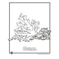 Malvorlage: Koralle (Natur) #162945 - Kostenlose Malvorlagen zum Ausdrucken