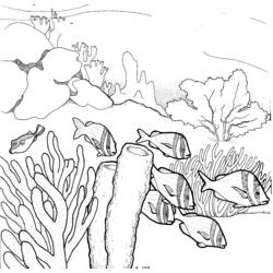 Malvorlage: Koralle (Natur) #162958 - Kostenlose Malvorlagen zum Ausdrucken