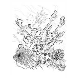 Malvorlage: Koralle (Natur) #162970 - Kostenlose Malvorlagen zum Ausdrucken