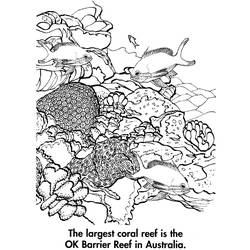 Malvorlage: Koralle (Natur) #162971 - Kostenlose Malvorlagen zum Ausdrucken