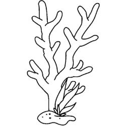 Zeichnungen zum Ausmalen: Koralle - Kostenlose Malvorlagen zum Ausdrucken
