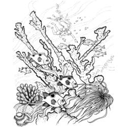 Malvorlage: Koralle (Natur) #163012 - Kostenlose Malvorlagen zum Ausdrucken