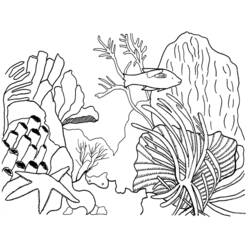 Malvorlage: Koralle (Natur) #163034 - Kostenlose Malvorlagen zum Ausdrucken