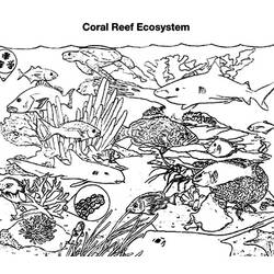Malvorlage: Koralle (Natur) #163088 - Kostenlose Malvorlagen zum Ausdrucken