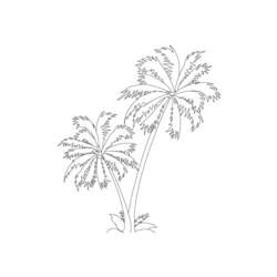 Malvorlage: Palme (Natur) #161122 - Kostenlose Malvorlagen zum Ausdrucken