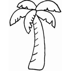 Zeichnungen zum Ausmalen: Palme - Kostenlose Malvorlagen zum Ausdrucken