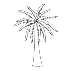 Malvorlage: Palme (Natur) #161137 - Kostenlose Malvorlagen zum Ausdrucken