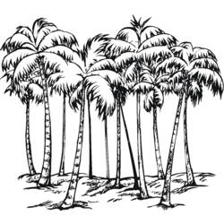 Malvorlage: Palme (Natur) #161177 - Kostenlose Malvorlagen zum Ausdrucken