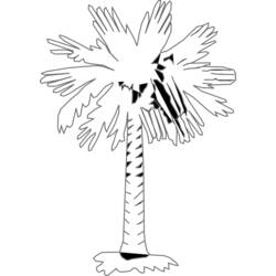 Malvorlage: Palme (Natur) #161228 - Kostenlose Malvorlagen zum Ausdrucken