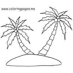 Malvorlage: Palme (Natur) #161278 - Kostenlose Malvorlagen zum Ausdrucken
