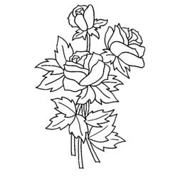 Malvorlage: Rosen (Natur) #161895 - Kostenlose Malvorlagen zum Ausdrucken