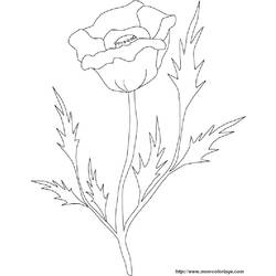 Malvorlage: Rosen (Natur) #161975 - Kostenlose Malvorlagen zum Ausdrucken