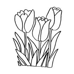 Malvorlage: Tulpe (Natur) #161613 - Kostenlose Malvorlagen zum Ausdrucken