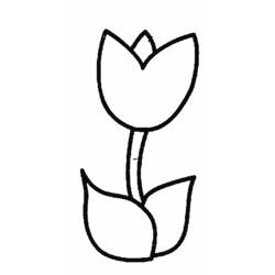 Malvorlage: Tulpe (Natur) #161618 - Kostenlose Malvorlagen zum Ausdrucken
