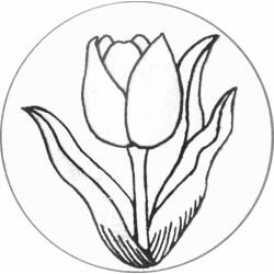 Malvorlage: Tulpe (Natur) #161622 - Kostenlose Malvorlagen zum Ausdrucken