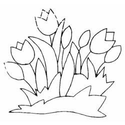 Malvorlage: Tulpe (Natur) #161624 - Kostenlose Malvorlagen zum Ausdrucken
