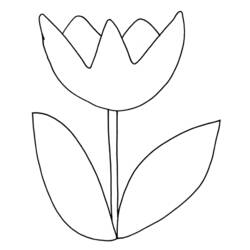 Malvorlage: Tulpe (Natur) #161628 - Kostenlose Malvorlagen zum Ausdrucken