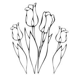 Malvorlage: Tulpe (Natur) #161632 - Kostenlose Malvorlagen zum Ausdrucken