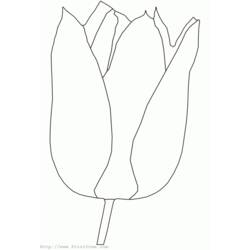 Malvorlage: Tulpe (Natur) #161633 - Kostenlose Malvorlagen zum Ausdrucken