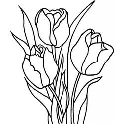 Malvorlage: Tulpe (Natur) #161634 - Kostenlose Malvorlagen zum Ausdrucken