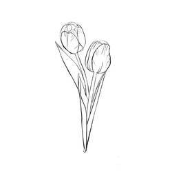 Malvorlage: Tulpe (Natur) #161635 - Kostenlose Malvorlagen zum Ausdrucken
