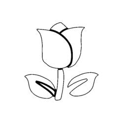 Malvorlage: Tulpe (Natur) #161638 - Kostenlose Malvorlagen zum Ausdrucken