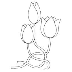 Malvorlage: Tulpe (Natur) #161639 - Kostenlose Malvorlagen zum Ausdrucken