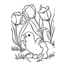 Malvorlage: Tulpe (Natur) #161650 - Kostenlose Malvorlagen zum Ausdrucken